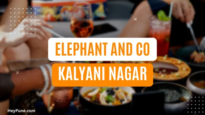 Elephant and Co Kalyani Nagar