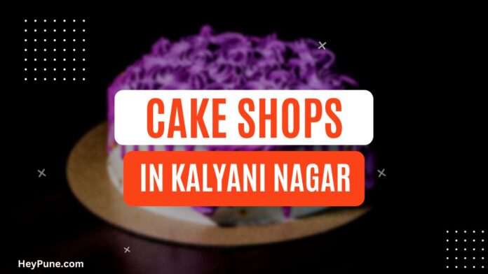 A variety of delicious cakes on display at a bakery in Kalyani Nagar.