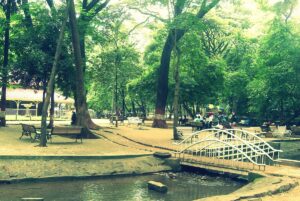 Empress Botanical Garden Pune Timings, Entry Fee, Ticket Cost and Review